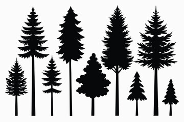 Obraz premium Silhouettes of evergreen trees in a forest setting 
