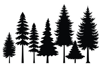 Obraz premium Silhouettes of evergreen trees in a forest setting 