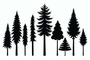 Obraz premium Silhouettes of evergreen trees in a forest setting 
