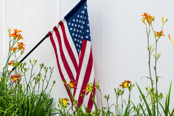 horizontal American flag isolated on white background in outdoor flower garden