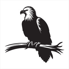Obraz premium siting eagle Silhouette Vector Art, and Graphic, vector black color silhouette 