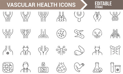 Collection of Circulatory and Vascular Health Icons for Medical Illustrations and Web Design