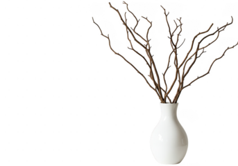 Still life of bare branches in a white vase against a simple and elegant dark setting style photo on transparent background
