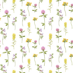 Seamless pattern with watercolor wild flowers, clovers, buttercups and other plants, on a white background. 