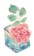 Delicate Watercolor Botanical with Soft Rose Bloom for wedding stationery, greeting cards, or botanical branding sets