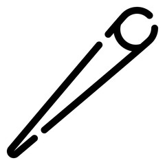 pin icon