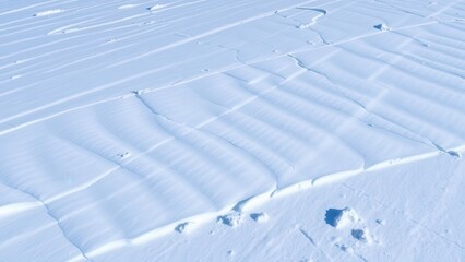 Wind-Sculpted Snow Patterns in Arctic Landscape

