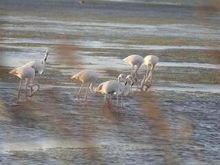 Colorful kingfisher perched on a branch by a serene river during bright daylight