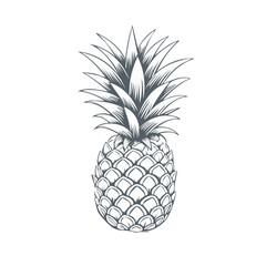 Obraz premium Monochrome Pineapple Illustration on Black Background: Tropical Fruit Graphic