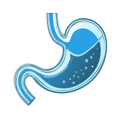 Human Stomach Anatomy Diagram Showing Digestion with Liquid and Bubbles on Black Background
