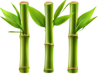 Obraz premium Fresh Green Bamboo Stems with Vibrant Leaves Ideal for Natural Themes and Eco-Friendly Designs, Symbolizing Growth and Renewal in Various Projects