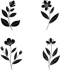 Fototapeta premium Elegant Black and White Floral Illustrations Four Simple Flower Designs