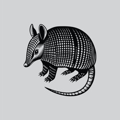 Cute Armadillo Illustration for Kids