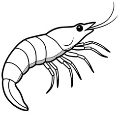 shrimp vector illustration