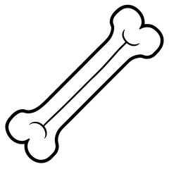 human skull vector illustration