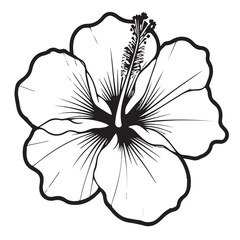 Fototapeta premium Detailed hibiscus flower isolated on white background in black and white