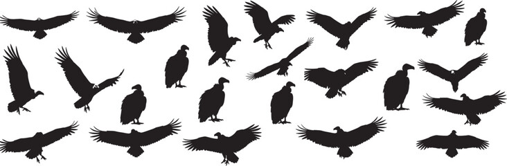 Collection of vulture silhouettes in various poses against a white background, showcasing diverse wing positions