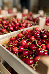 Freshly harvested cherries displayed in wooden crates at a local market during summer fruit season