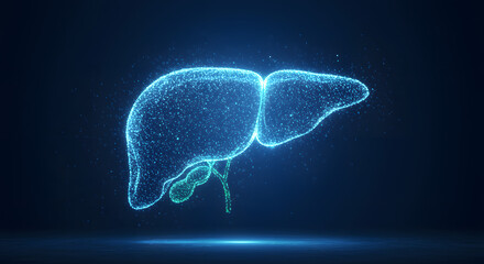 Futuristic Digital Liver Made of Particles on Dark Blue Background &ndash; Healthcare Technology Concept