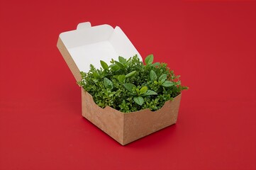Takeout Box Full of Fresh Greens