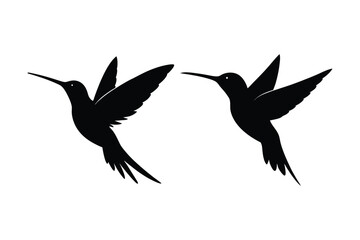 Hummingbird  silhouette vector bundle  illustration, Black Hummingbird  silhouette vector 