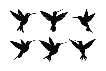 Hummingbird  silhouette vector bundle  illustration, Black Hummingbird  silhouette vector 