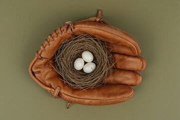 Bird Nest in Baseball Glove