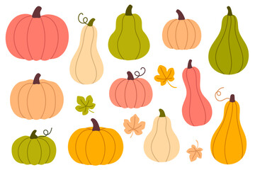 Collection of colorful pumpkins and gourds in various shapes, perfect for fall harvest, thanksgiving and seasonal design