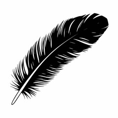 Black and white feather isolated on white background simple vector illustration of bird quill plume