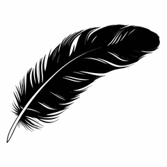 Obraz premium Black and white feather isolated on white background simple vector illustration of bird quill plume