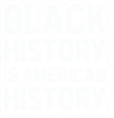 Black History Is American History
