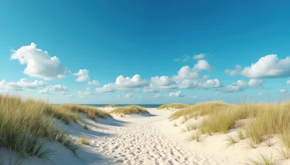 Scenic Dutch Wadden Islands landscape. Deserted sand dunes under blue summer sky. Coastal scenery, path through dunes leads to ocean. Tranquil nature, perfect vacation backdrop. Nobody, summer © Pete