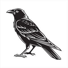 common blackbird vector illustration