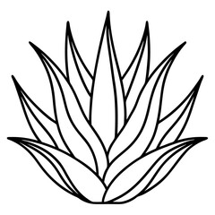 silhouette of a plant