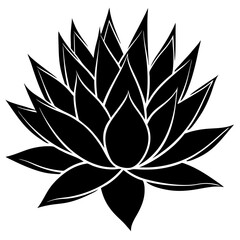 lotus flower vector