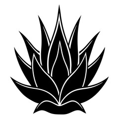 lotus flower vector