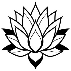 lotus flower vector
