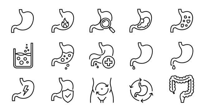 Digestive System Icons Stomach Health and Medical Examination Concepts