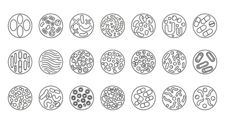 Outdoor Adventure Camping Gear Icons Collection for Recreation and Travel