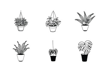 Collection of Six Line Art Houseplants Potted Plants Illustrations