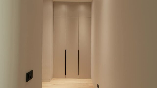 Minimalist hallway interior design with built-in closets. Modern furniture at home, storage design