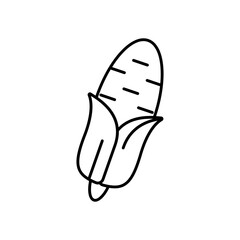 Corn Crop Agriculture Line Icon