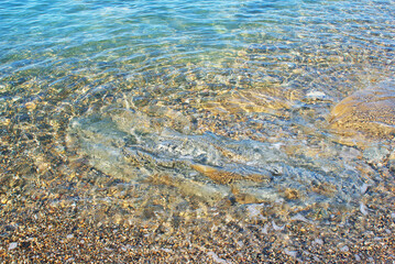 Stones in the sea and on the bottom of the sea, sun glare on water, underwater world, background