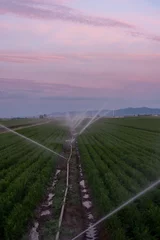 Selbstklebende Fototapeten Wind turbines loom above a green crop field as rotating sprinklers deliver water across the landscape at dusk, symbolizing sustainable agriculture and clean-energy integration © Sergej