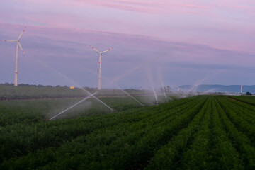At sunset, aligned wind turbines and a central-pivot irrigation system operate over a verdant...