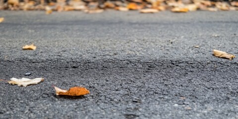 Beautiful Autumn Leaves Scattered on an Asphalt Road Created by Nature and Falls Transition