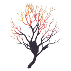 Fototapeta premium Bare tree branch silhouettes, Black branches without leaves