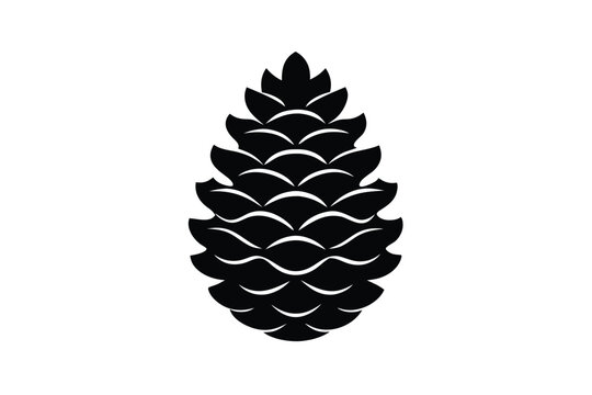 pine cones isolated on white