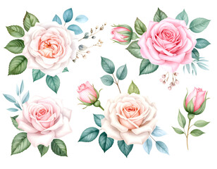Beautiful floral bouquet illustrations set with watercolor hand drawn flowers. Stock  