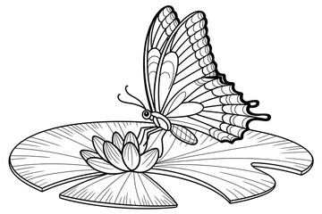 Fototapeta premium Butterfly rests on a lily pad. 